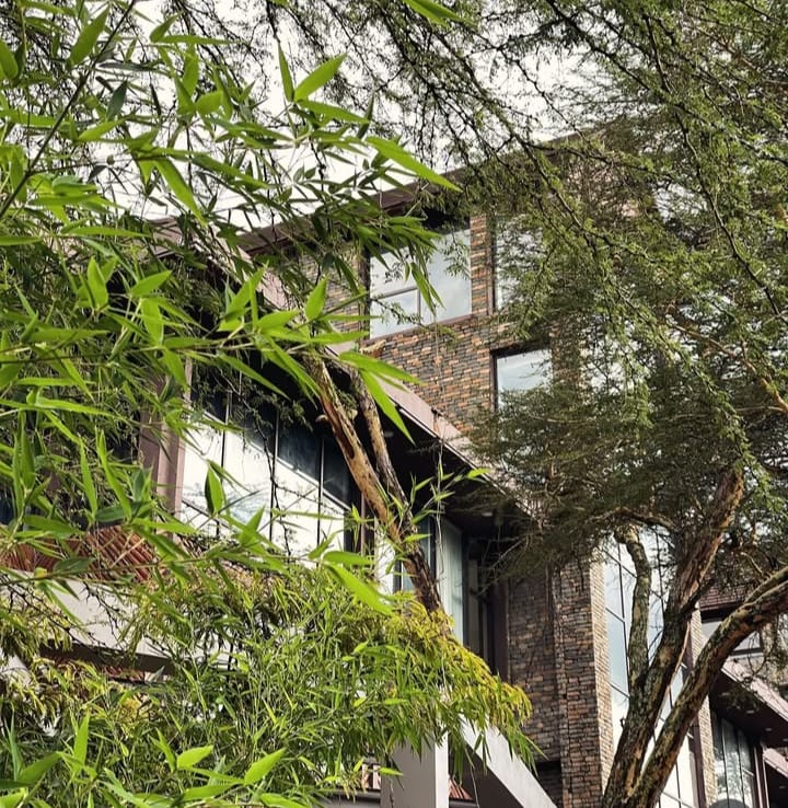 SGG Wing – Side View